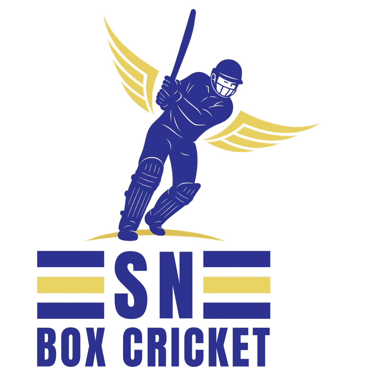 SN Box Cricket | Premium Box Cricket Turf & Sports Arena